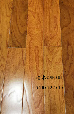 Elm board-CNE301